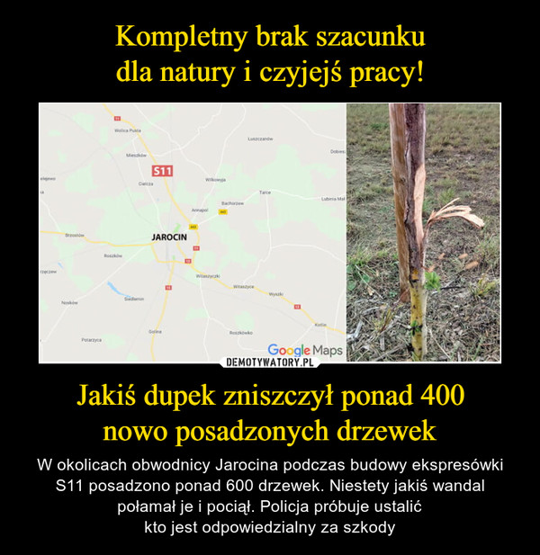 Kompletny brak szacunku
dla natury i czyjejś pracy! Jakiś dupek zniszczył ponad 400
nowo posadzonych drzewek
