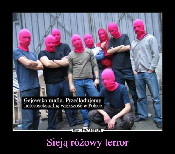 Sieją różowy terror –  Gejowska mafia. Prześladujemyheteroseksualną większość w Polsce.