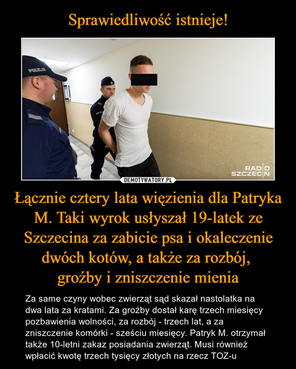 Sprawiedliwość istnieje! Łącznie cztery lata więzienia dla Patryka M. Taki wyrok usłyszał 19-latek ze Szczecina za zabicie psa i okaleczenie dwóch kotów, a także za rozbój, 
groźby i zniszczenie mienia