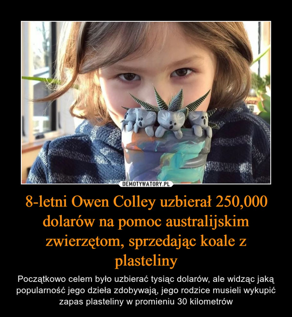 8-letni Owen Colley uzbierał 250,000 dolarów na pomoc australijskim zwierzętom, sprzedając koale z plasteliny