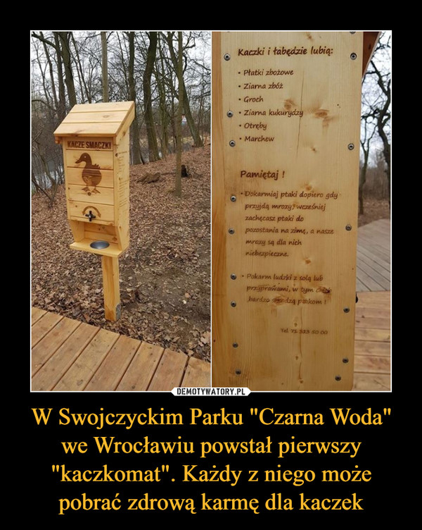 W Swojczyckim Parku "Czarna Woda" we Wrocławiu powstał pierwszy "kaczkomat". Każdy z niego może pobrać zdrową karmę dla kaczek