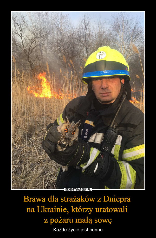 Brawa dla strażaków z Dniepra 
na Ukrainie, którzy uratowali 
z pożaru małą sowę