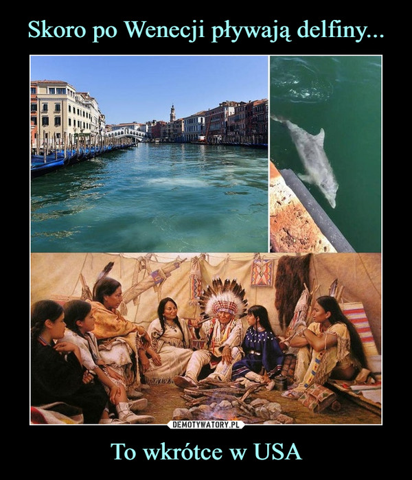 Skoro po Wenecji pływają delfiny... To wkrótce w USA