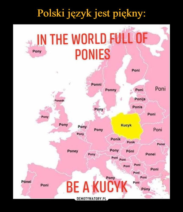  –  In the world full of ponies be a kucyk pony