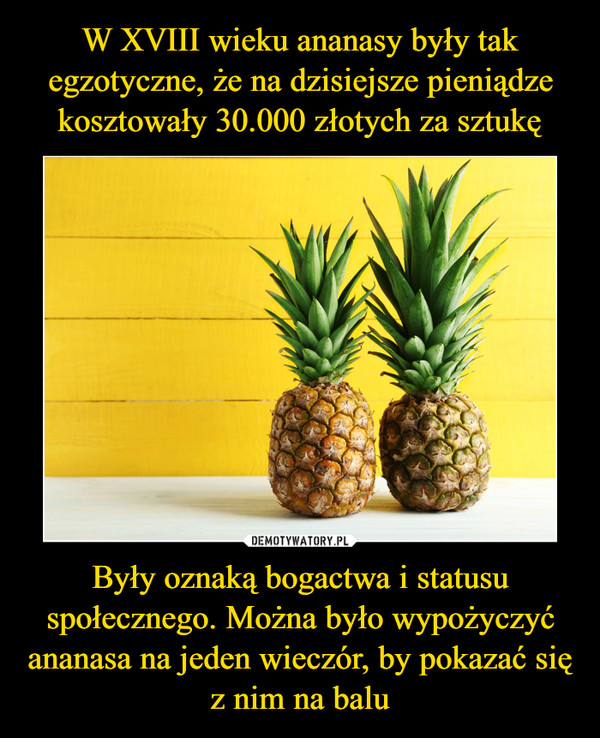 W XVIII wieku ananasy były tak egzotyczne, że na dzisiejsze pieniądze kosztowały 30.000 złotych za sztukę Były oznaką bogactwa i statusu społecznego. Można było wypożyczyć ananasa na jeden wieczór, by pokazać się z nim na balu