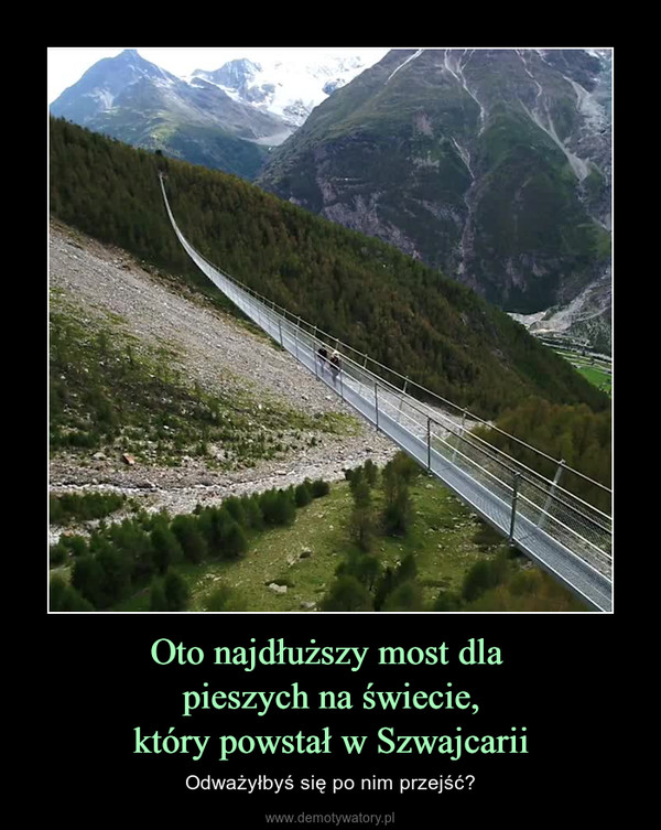 Oto najdłuższy most dla pieszych na świecie,który powstał w Szwajcarii – Odważyłbyś się po nim przejść? 