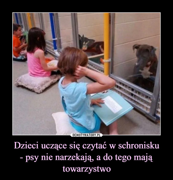 Dzieci uczące się czytać w schronisku- psy nie narzekają, a do tego mają towarzystwo –  
