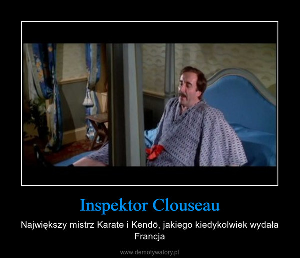 Inspektor Clouseau – Największy mistrz Karate i Kendō, jakiego kiedykolwiek wydała Francja 