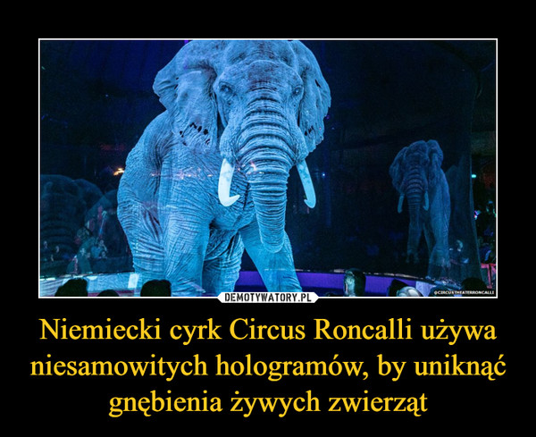 Niemiecki cyrk Circus Roncalli używa niesamowitych hologramów, by uniknąć gnębienia żywych zwierząt