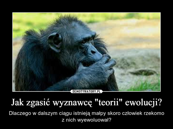 Jak zgasić wyznawcę "teorii" ewolucji? – Dlaczego w dalszym ciągu istnieją małpy skoro człowiek rzekomo z nich wyewoluował? 