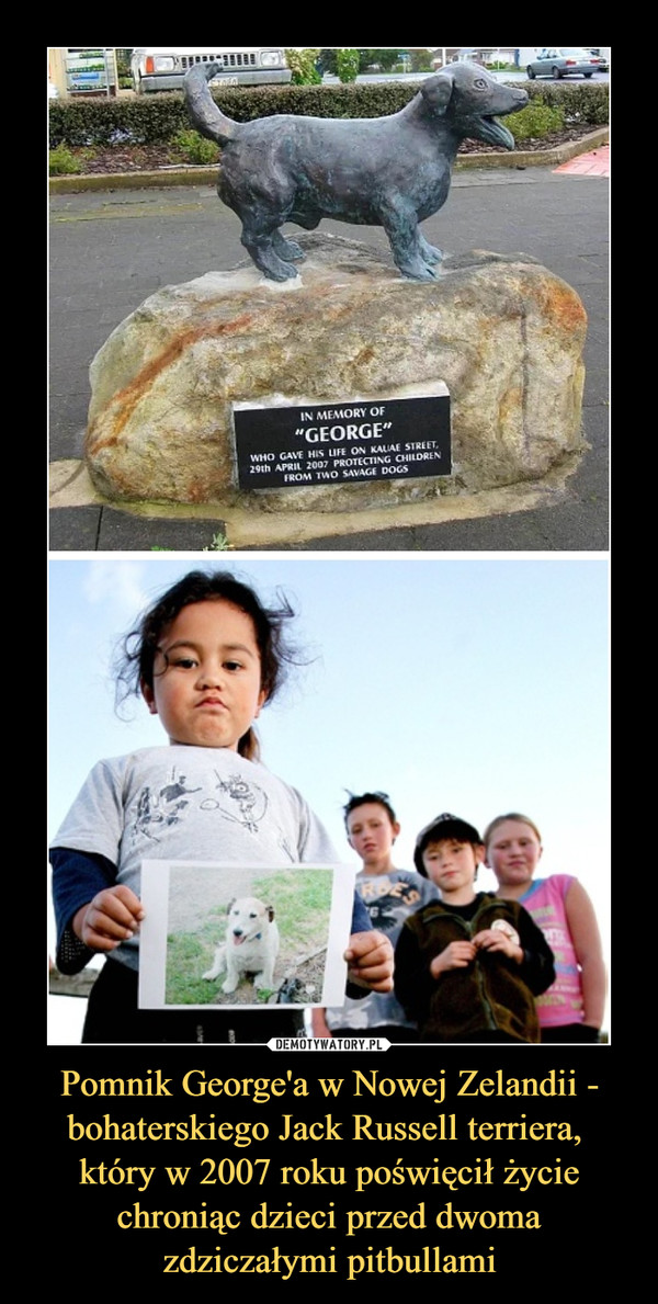 Pomnik George'a w Nowej Zelandii - bohaterskiego Jack Russell terriera, 
który w 2007 roku poświęcił życie chroniąc dzieci przed dwoma zdziczałymi pitbullami