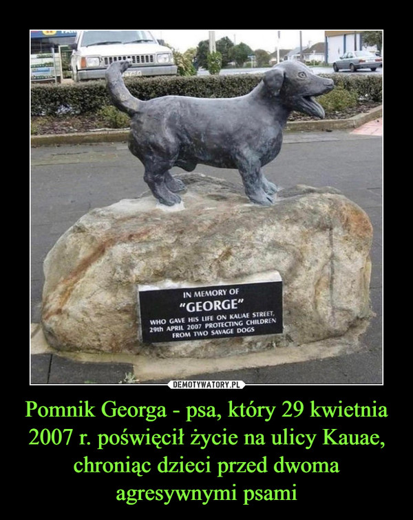 Pomnik Georga - psa, który 29 kwietnia 2007 r. poświęcił życie na ulicy Kauae, chroniąc dzieci przed dwoma agresywnymi psami –  
