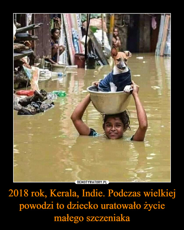 2018 rok, Kerala, Indie. Podczas wielkiej powodzi to dziecko uratowało życie małego szczeniaka
