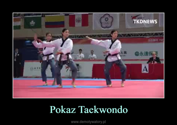 Pokaz Taekwondo –  
