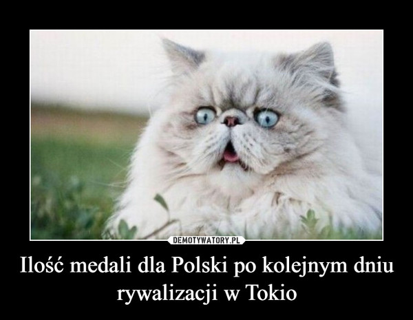 Ilość medali dla Polski po kolejnym dniu rywalizacji w Tokio –  