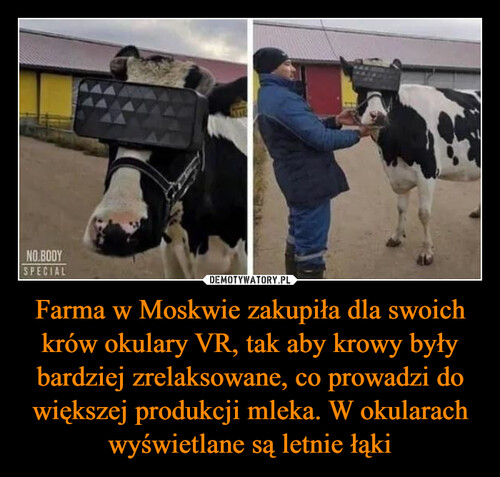 Farma w Moskwie zakupiła dla swoich krów okulary VR, tak aby krowy były bardziej zrelaksowane, co prowadzi do większej produkcji mleka. W okularach wyświetlane są letnie łąki