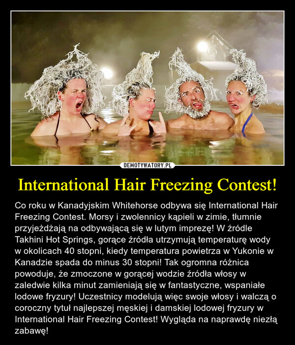International Hair Freezing Contest! – Co roku w Kanadyjskim Whitehorse odbywa się International Hair Freezing Contest. Morsy i zwolennicy kąpieli w zimie, tłumnie przyjeżdżają na odbywającą się w lutym imprezę! W źródle Takhini Hot Springs, gorące źródła utrzymują temperaturę wody w okolicach 40 stopni, kiedy temperatura powietrza w Yukonie w Kanadzie spada do minus 30 stopni! Tak ogromna różnica powoduje, że zmoczone w gorącej wodzie źródła włosy w zaledwie kilka minut zamieniają się w fantastyczne, wspaniałe lodowe fryzury! Uczestnicy modelują więc swoje włosy i walczą o coroczny tytuł najlepszej męskiej i damskiej lodowej fryzury w International Hair Freezing Contest! Wygląda na naprawdę niezłą zabawę! 