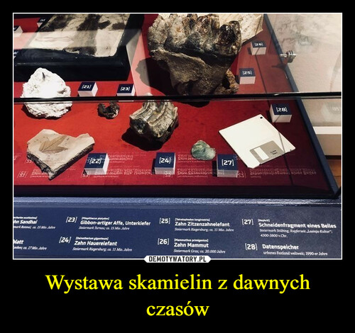 Wystawa skamielin z dawnych czasów