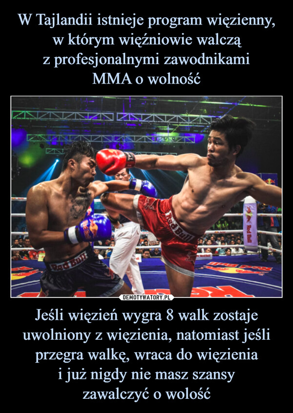 W Tajlandii istnieje program więzienny, w którym więźniowie walczą
z profesjonalnymi zawodnikami
MMA o wolność Jeśli więzień wygra 8 walk zostaje uwolniony z więzienia, natomiast jeśli przegra walkę, wraca do więzienia
i już nigdy nie masz szansy
zawalczyć o wolość