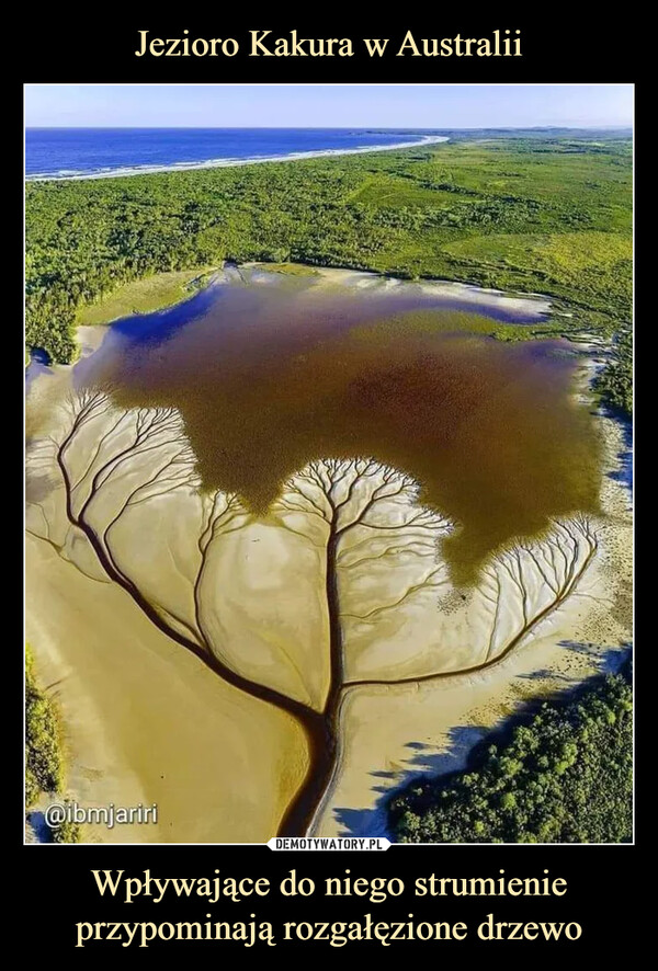 Jezioro Kakura w Australii Wpływające do niego strumienie przypominają rozgałęzione drzewo