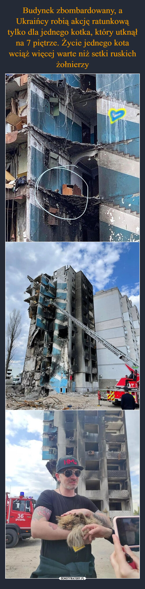 Budynek zbombardowany, a Ukraińcy robią akcję ratunkową tylko dla jednego kotka, który utknął na 7 piętrze. Życie jednego kota wciąż więcej warte niż setki ruskich żołnierzy