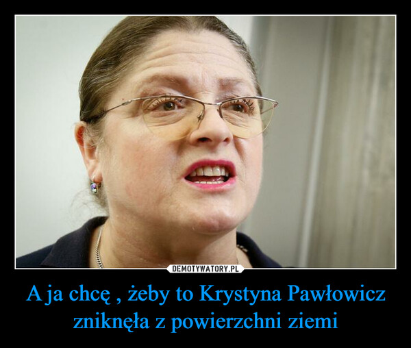 A ja chcę , żeby to Krystyna Pawłowicz zniknęła z powierzchni ziemi –  