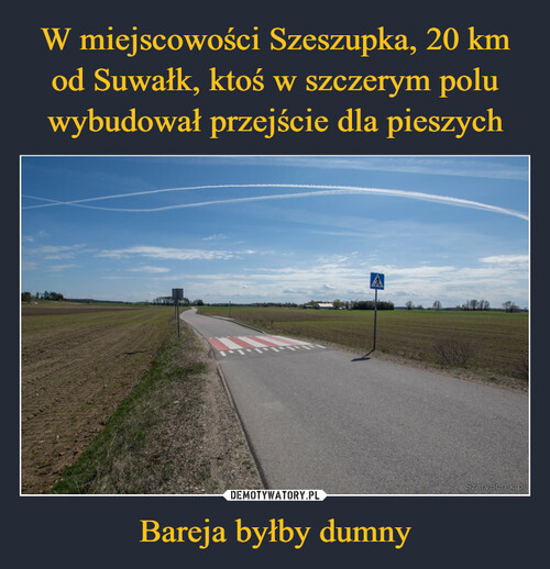 W miejscowości Szeszupka, 20 km od Suwałk, ktoś w szczerym polu wybudował przejście dla pieszych Bareja byłby dumny