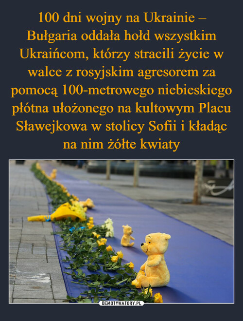 100 dni wojny na Ukrainie – Bułgaria oddała hołd wszystkim Ukraińcom, którzy stracili życie w walce z rosyjskim agresorem za pomocą 100-metrowego niebieskiego płótna ułożonego na kultowym Placu Sławejkowa w stolicy Sofii i kładąc na nim żółte kwiaty