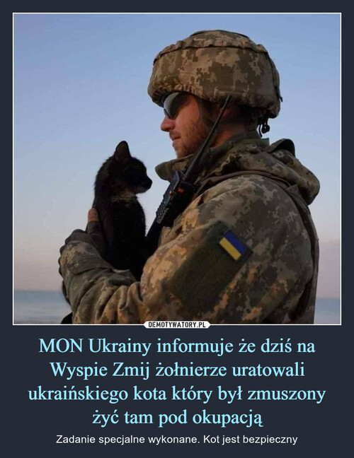 MON Ukrainy informuje że dziś na Wyspie Zmij żołnierze uratowali ukraińskiego kota który był zmuszony żyć tam pod okupacją