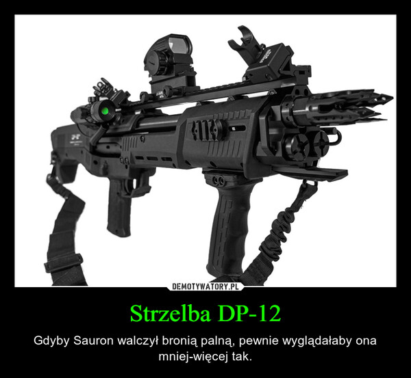 Strzelba DP-12 – Gdyby Sauron walczył bronią palną, pewnie wyglądałaby ona mniej-więcej tak. 