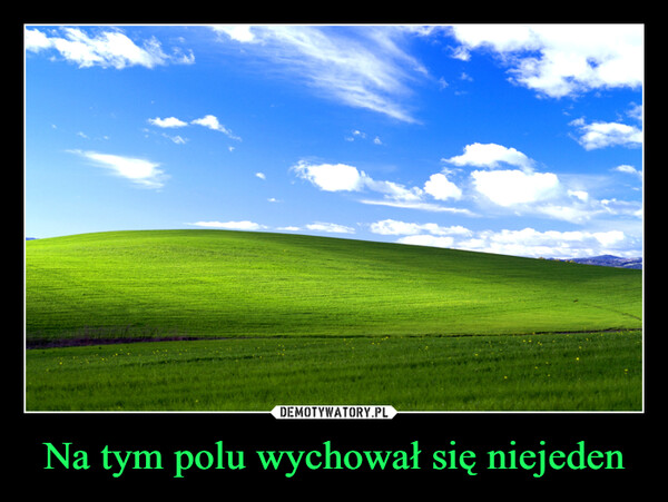 Na tym polu wychował się niejeden