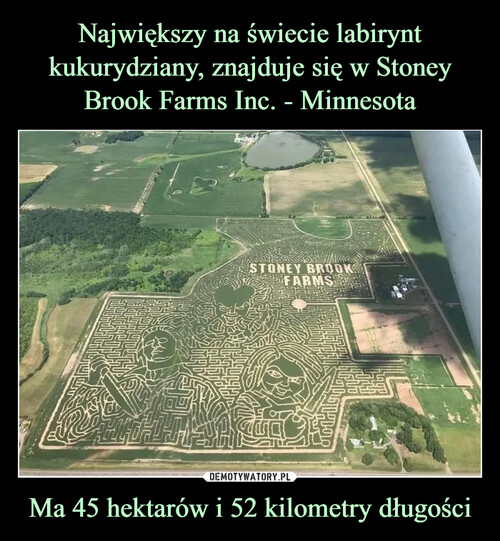 Największy na świecie labirynt kukurydziany, znajduje się w Stoney Brook Farms Inc. - Minnesota Ma 45 hektarów i 52 kilometry długości