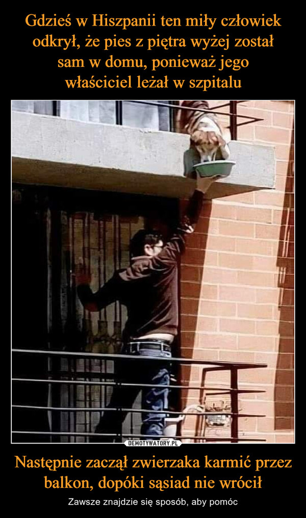 Następnie zaczął zwierzaka karmić przez balkon, dopóki sąsiad nie wrócił – Zawsze znajdzie się sposób, aby pomóc 