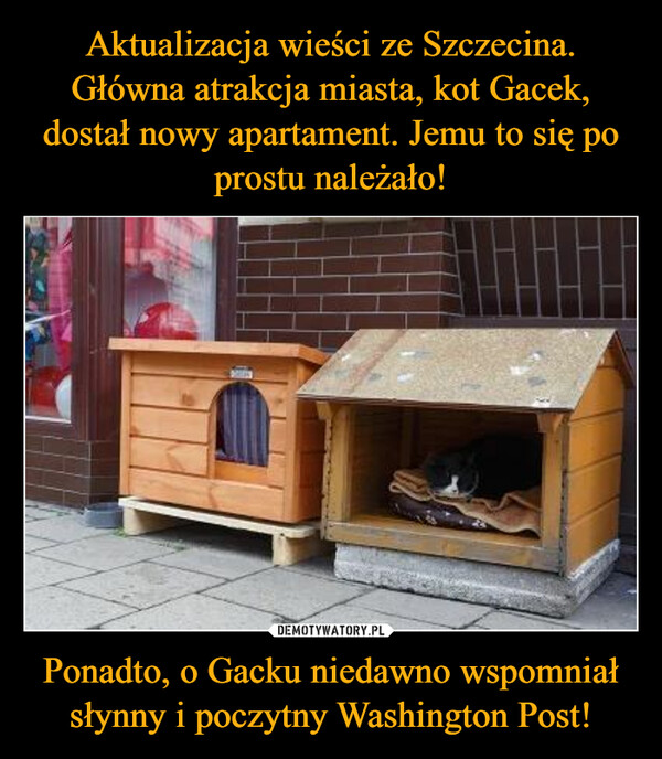 Aktualizacja wieści ze Szczecina. Główna atrakcja miasta, kot Gacek, dostał nowy apartament. Jemu to się po prostu należało! Ponadto, o Gacku niedawno wspomniał słynny i poczytny Washington Post!