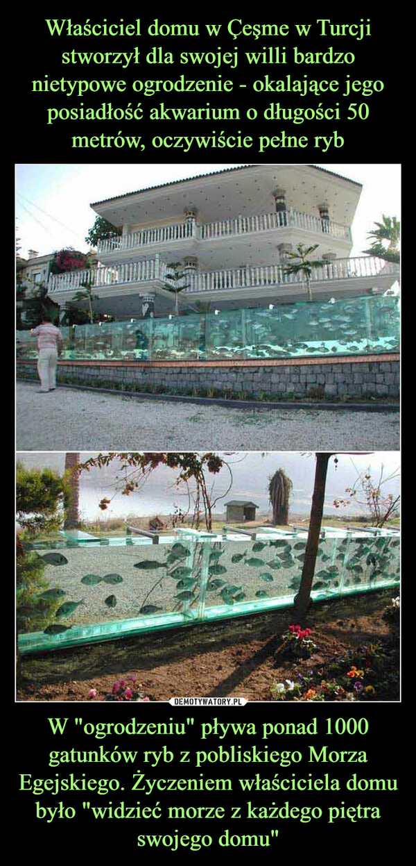 Właściciel domu w Çeşme w Turcji stworzył dla swojej willi bardzo nietypowe ogrodzenie - okalające jego posiadłość akwarium o długości 50 metrów, oczywiście pełne ryb W "ogrodzeniu" pływa ponad 1000 gatunków ryb z pobliskiego Morza Egejskiego. Życzeniem właściciela domu było "widzieć morze z każdego piętra swojego domu"