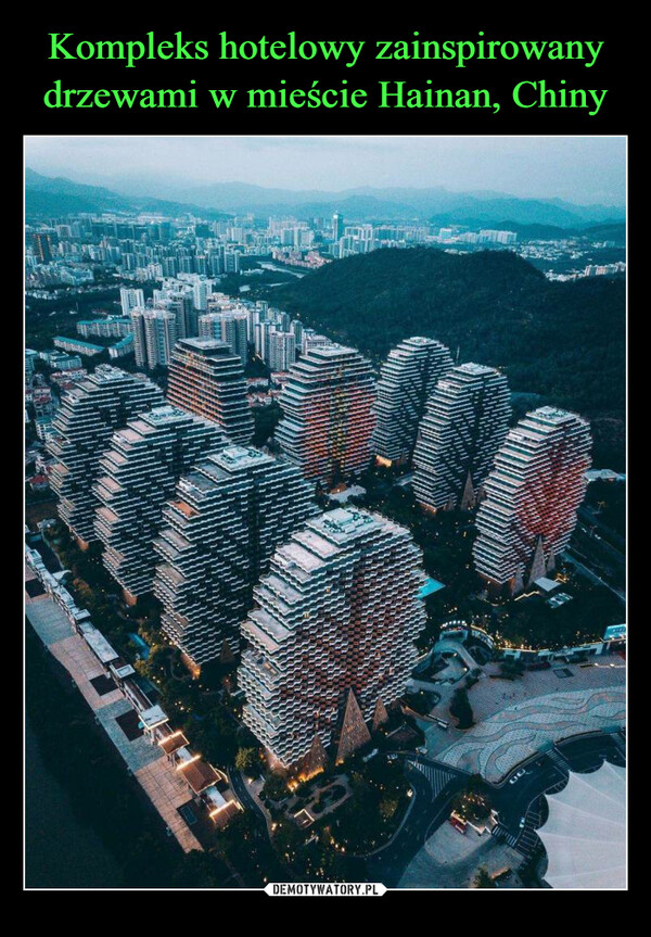Kompleks hotelowy zainspirowany drzewami w mieście Hainan, Chiny