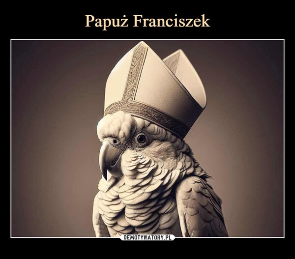  –  Papuż Franciszek