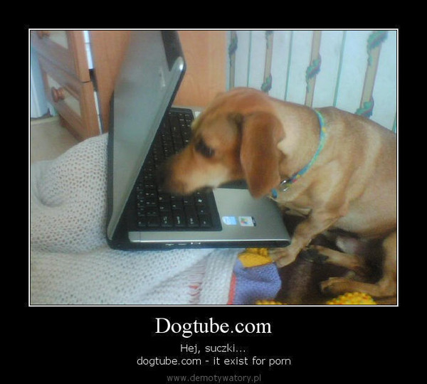 Dogtube.com – Hej, suczki... dogtube.com - it exist for porn 